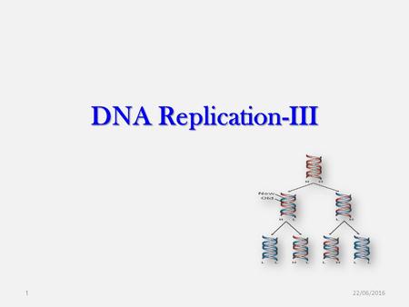 DNA Replication-III 28/04/2017.