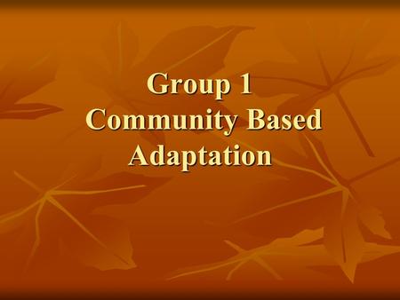 Group 1 Community Based Adaptation. The Process Presented two case studies Presented two case studies Case studies came with a set of research questions.