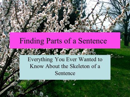 Finding Parts of a Sentence Everything You Ever Wanted to Know About the Skeleton of a Sentence.