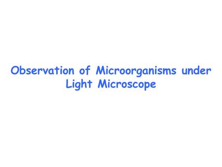 Observation of Microorganisms under Light Microscope