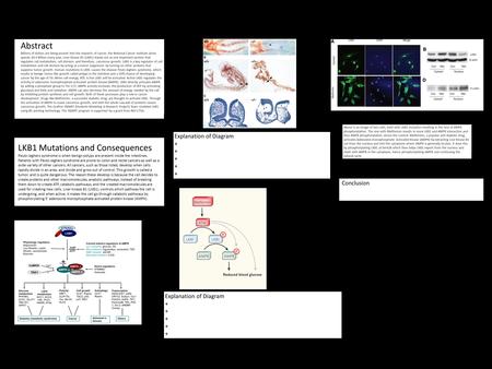 Catchy LKB1 Title Abstract Billions of dollars are being poured into the research of cancer, the National Cancer Institute alone spends $4.9 Billion every.