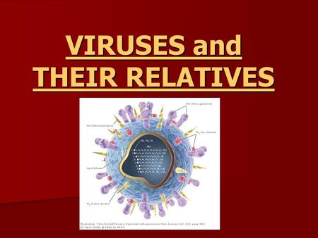 VIRUSES and THEIR RELATIVES VIRUSES and THEIR RELATIVES.