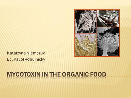 Katarzyna Niemczuk Bc. Pavol Kobulnicky.  A mycotoxin (from Greek μύκης (mykes, mukos) fungus and Latin (toxicum) poison) is a toxic secondary metabolite.