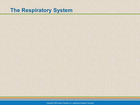 Copyright © 2009 Pearson Education, Inc., publishing as Benjamin Cummings The Respiratory System.