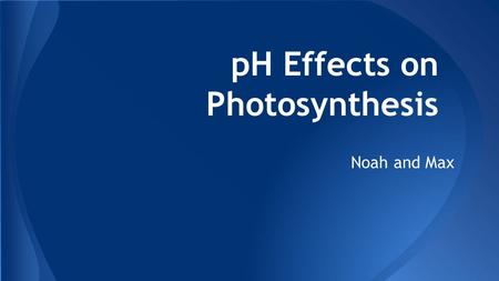 pH Effects on Photosynthesis