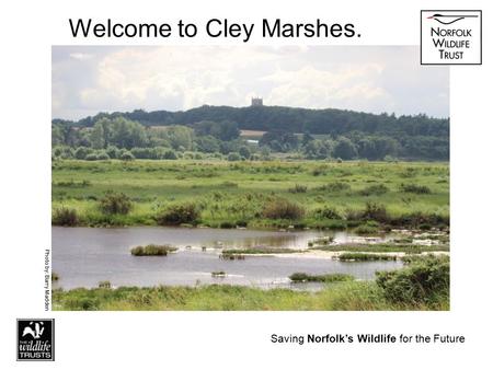 Saving Norfolk’s Wildlife for the Future Welcome to Cley Marshes. Photo by: Barry Madden Saving Norfolk’s Wildlife for the Future.