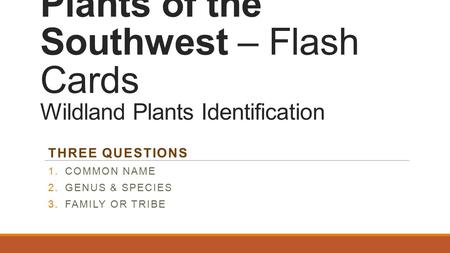 Plants of the Southwest – Flash Cards Wildland Plants Identification THREE QUESTIONS 1.COMMON NAME 2.GENUS & SPECIES 3.FAMILY OR TRIBE.