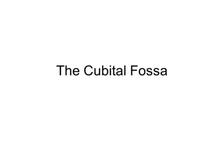 The Cubital Fossa.