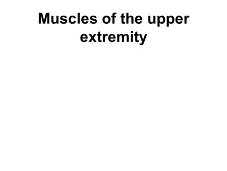 Muscles of the upper extremity