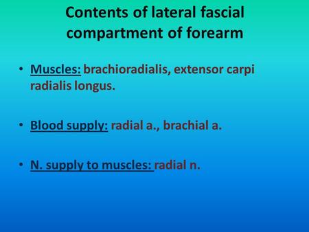 Contents of lateral fascial compartment of forearm Muscles: brachioradialis, extensor carpi radialis longus. Blood supply: radial a., brachial a. N. supply.