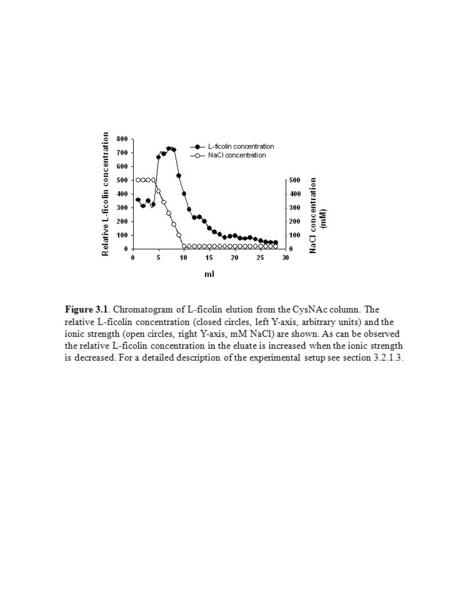 Figure 3.1. Chromatogram of L-ficolin elution from the CysNAc column. The relative L-ficolin concentration (closed circles, left Y-axis, arbitrary units)