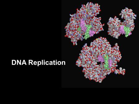 DNA Replication Watson and Crick 1953 article in Nature.