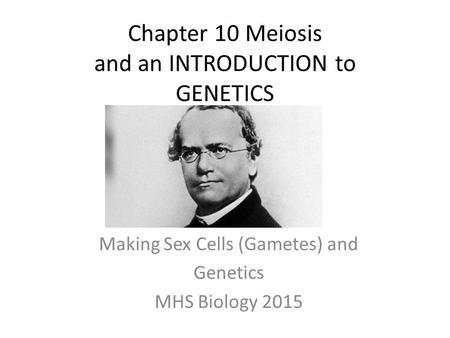 Chapter 10 Meiosis and an INTRODUCTION to GENETICS Making Sex Cells (Gametes) and Genetics MHS Biology 2015.