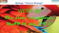 Lesson Overview Lesson Overview What is Ecology? Biology * Honors Biology* WEEK 32 The final countdown MAY 16 the E O C.