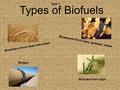 Task 1 Types of Biofuels Bioethanol from trees, grasses, waste Bioethanol from duel–use crops Biogas Biofuels from algal.