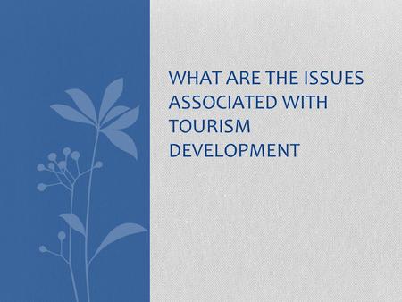 WHAT ARE THE ISSUES ASSOCIATED WITH TOURISM DEVELOPMENT.