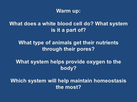 Warm up: What does a white blood cell do? What system is it a part of? What type of animals get their nutrients through their pores? What system helps.