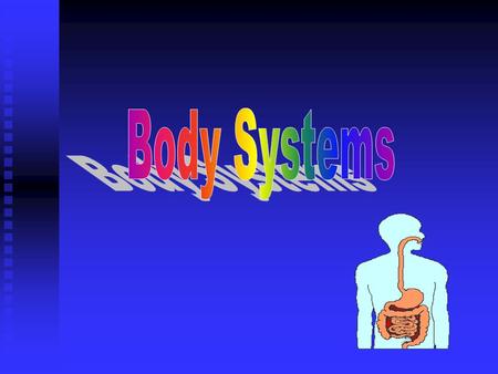 The digestive system The main organs of the digestive system are the tongue, the esophagus, the stomach and the small and large intestine. The main.