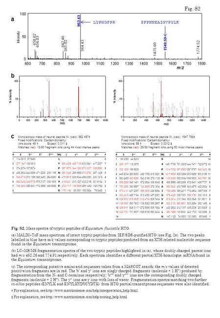 B Monoisotopic mass of neutral peptide M r (calc): 962.4974 Fixed modifications: Carbamidomethyl Ions score: 45 † Expect: 0.011 ‡ Matches (red): 18/50.