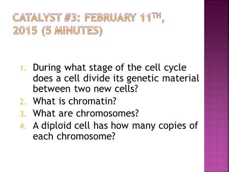 1. During what stage of the cell cycle does a cell divide its genetic material between two new cells? 2. What is chromatin? 3. What are chromosomes? 4.