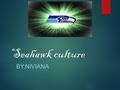 Seahawk culture BY:NIVIANA. History  The Seattle Seahawks are a professional American football team organized in 1976.they have been around for 20 years.