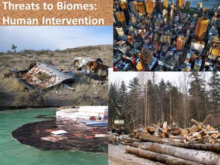 Threats to Biomes: Human Intervention