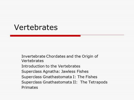 Vertebrates Invertebrate Chordates and the Origin of Vertebrates Introduction to the Vertebrates Superclass Agnatha: Jawless Fishes Superclass Gnathastomata.