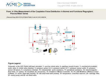 Date of download: 6/22/2016 Copyright © ASME. All rights reserved. From: In Vitro Measurement of the Coaptation Force Distribution in Normal and Functional.