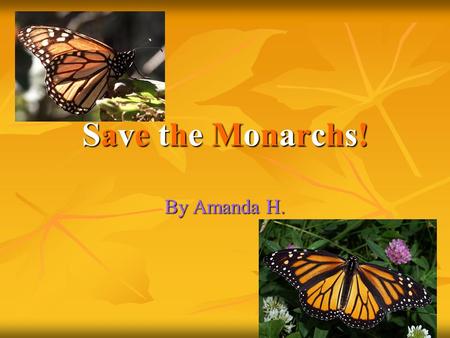 Save the Monarchs!Save the Monarchs!Save the Monarchs!Save the Monarchs! By Amanda H.