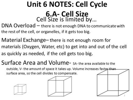 Unit 6 NOTES: Cell Cycle 6.A- Cell Size Cell Size is limited by… DNA Overload – there is not enough DNA to communicate with the rest of the cell, or organelles,