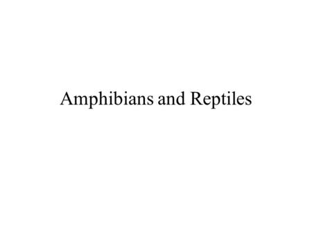 Amphibians and Reptiles