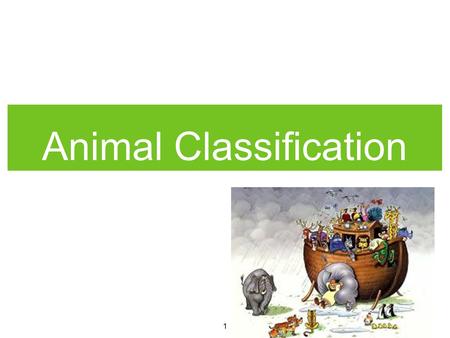 Animal Classification