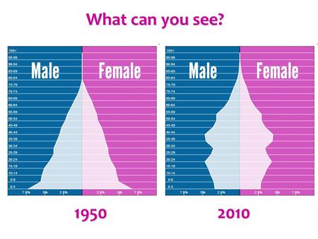 What can you see? 19502010. Why did China need to control the population? China’s Population Problem.