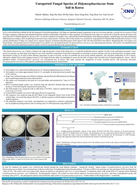 Unreported Fungal Species of Didymosphaeriaceae from Soil in Korea Mahesh Adhikari, Sang Woo Kim, Dil Raj Yadav, Hyun Seung Kim, Yong Hyun Um, Youn Su.