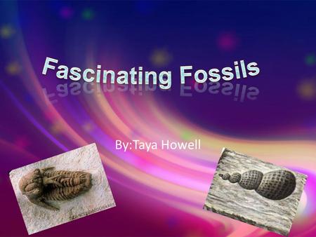 By:Taya Howell. What Is a Fossil? Fossil- remains or impression can be a shell, bone, hole, or a footprint Process of Fossils Dead organisms Mussels and.