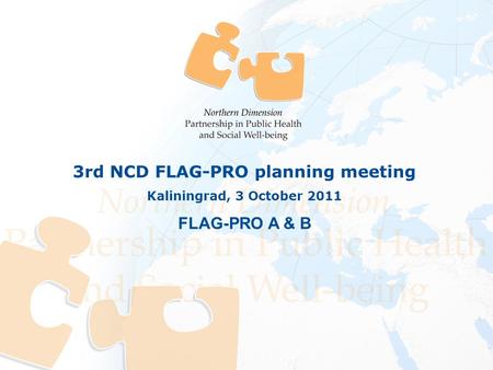 3rd NCD FLAG-PRO planning meeting Kaliningrad, 3 October 2011 FLAG-PRO A & B.