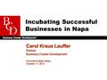 Incubating Successful Businesses in Napa Carol Kraus Lauffer Partner Business Cluster Development Innovation Napa Valley October 17, 2012 Carol Kraus Lauffer.