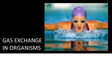 GAS EXCHANGE IN ORGANISMS. Overview (DO NOT COPY) Breathing: a mechanical process that moves air in & out of the lungs June 23, 2016A.Y. Jackson – SNC2D2.