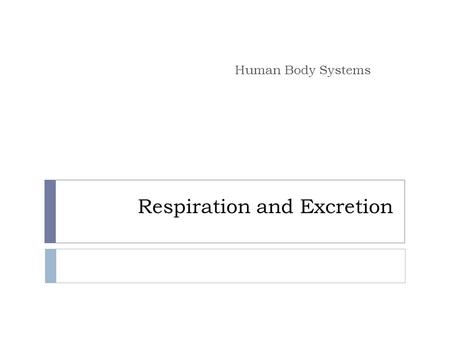 Respiration and Excretion Human Body Systems. Essential Questions  How do humans carry out the life process, respiration?  How do humans carry out the.