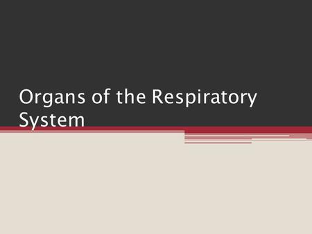 Organs of the Respiratory System. Introduction Respiration ▫ Entire process of gas exchange between the atmosphere and body cells ▫ Includes:  1. movement.