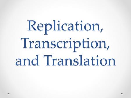 Replication, Transcription, and Translation. Replication Where does replication occur in eukaryotes? Nucleus! In what phase does DNA replication occur?