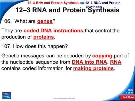 End Show 12–3 RNA and Protein Synthesis Slide 1 of 39 Copyright Pearson Prentice Hall 12–3 RNA and Protein Synthesis 106. What are genes? They are coded.