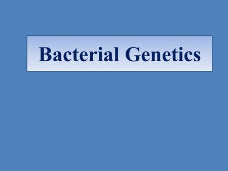 Bacterial Genetics In this lecture, we will talk about:  Bacterial chromosome:  Structure  Replication  Expression into proteins  Plasmids  Transposons.