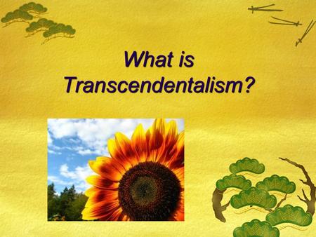 What is Transcendentalism?