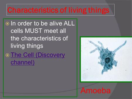 Characteristics of living things  In order to be alive ALL cells MUST meet all the characteristics of living things  The Cell (Discovery channel) The.