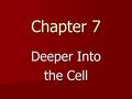 Chapter 7 Deeper Into the Cell. Review of previous notes: