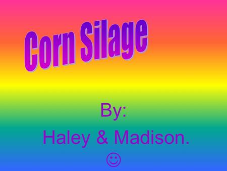 By: Haley & Madison.. Silage is fermented, high-moisture fodder that can be fed to cows or used as a biofuel feedstock for anaerobic digesters. It is.