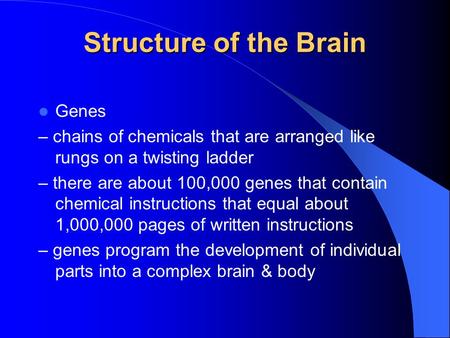 Structure of the Brain Genes – chains of chemicals that are arranged like rungs on a twisting ladder – there are about 100,000 genes that contain chemical.