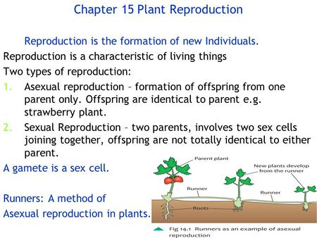 Chapter 15 Plant Reproduction