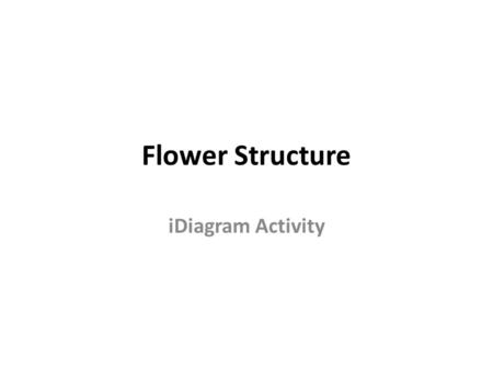 Flower Structure iDiagram Activity.